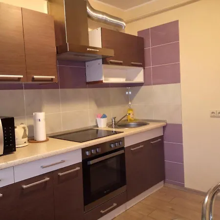 Kristinos Druskieniki